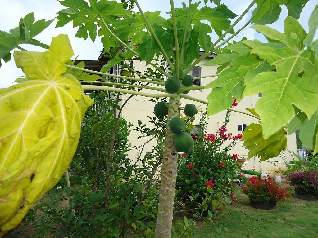Inn Posada Sunshine Paradise Providencia Island