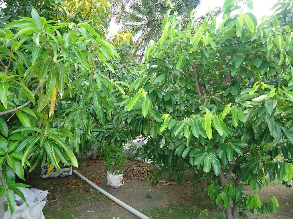 Posada Sunshine Paradise Providencia Island 0*,  Colombia