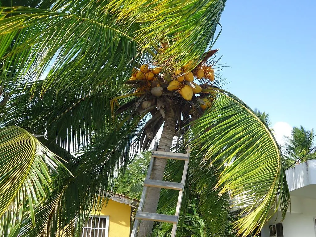 Posada Sunshine Paradise Hotel Santa Catalina Island Colombia