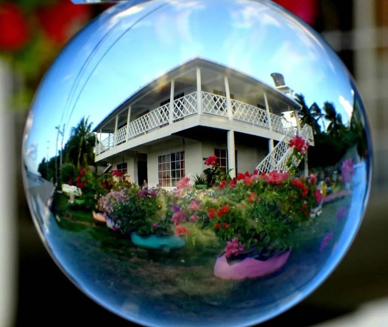 Inn Posada Sunshine Paradise Hotel Santa Catalina Island