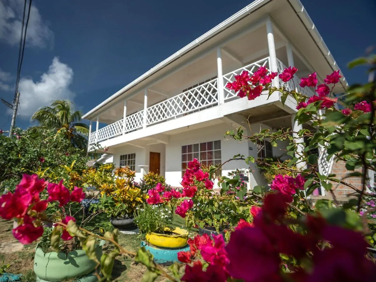 Posada Sunshine Paradise Hotel Santa Catalina Island